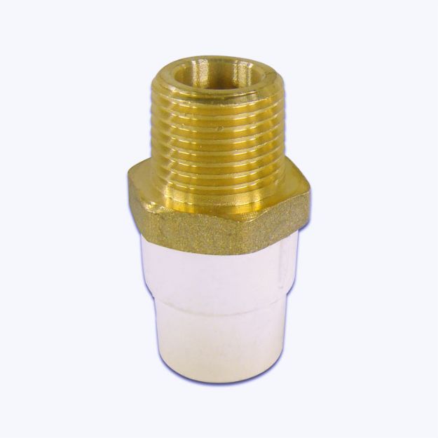 C:\Intelisis 6000V15\Anexos\Cuentas\EcommerceB2C\014727.jpeg