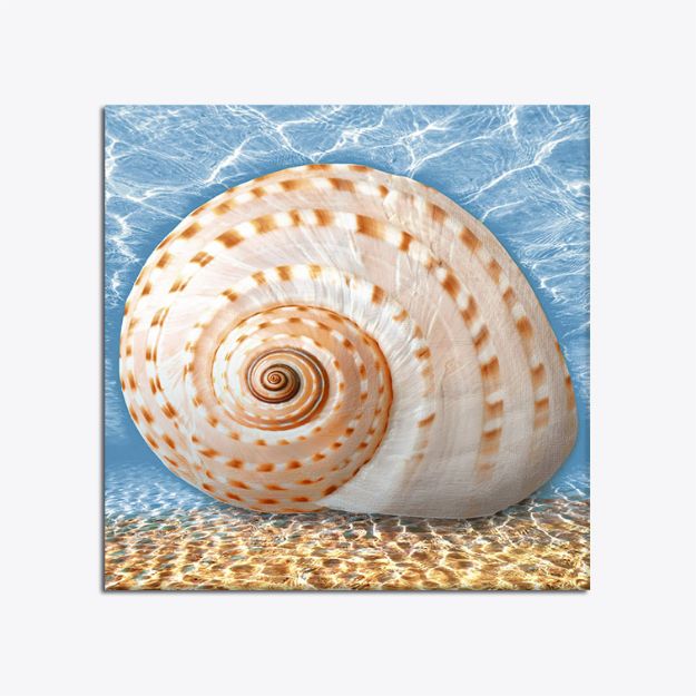 C:\Intelisis 6000V15\Anexos\Cuentas\EcommerceB2C\016011.jpeg