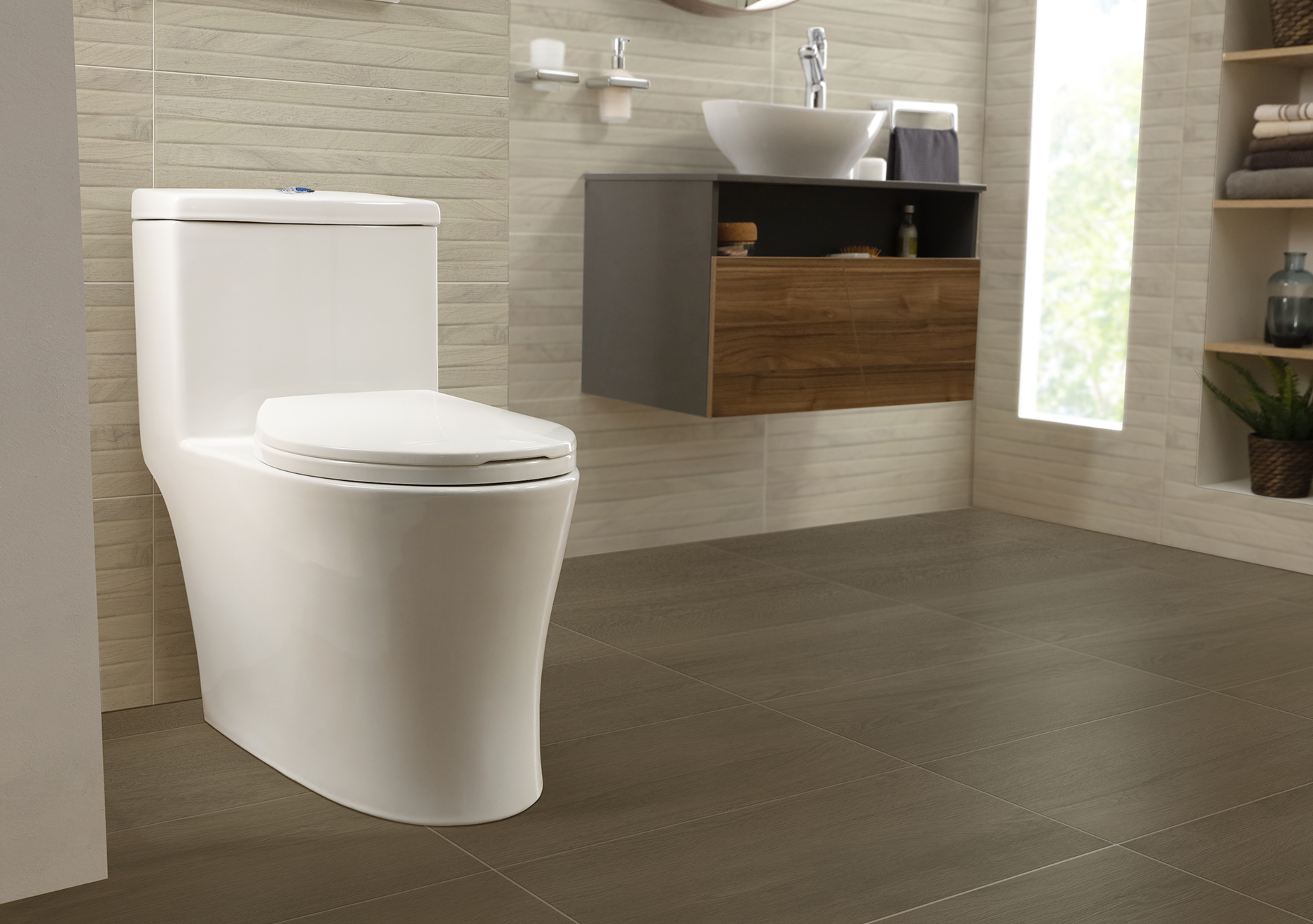 Imagen para la categoría Sanitarios de una pieza