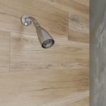 Imagen de 018316 REGADERA BR Y CHAP CHF IGUAZU CR (H-202) HELVEX