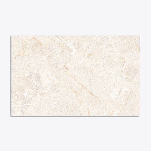 C:\Intelisis 6000V15\Anexos\Cuentas\EcommerceB2C\013916.jpeg