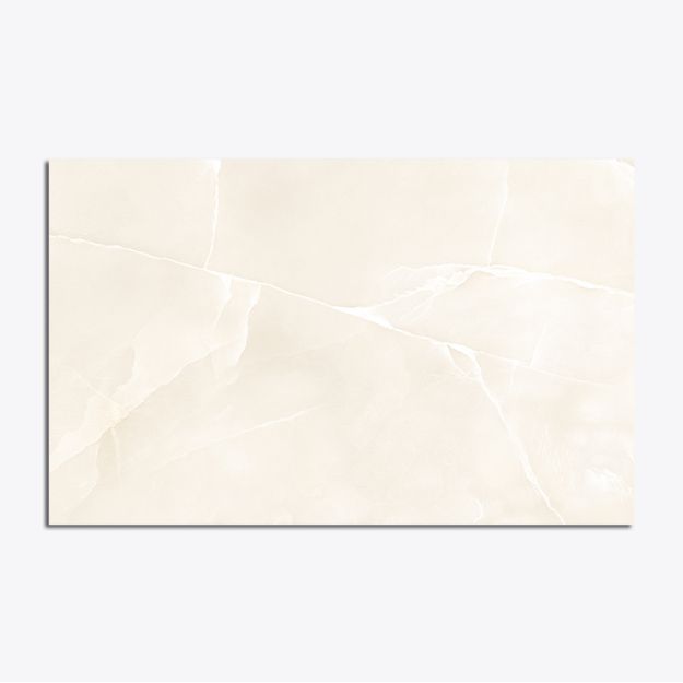 C:\Intelisis 6000V15\Anexos\Cuentas\EcommerceB2C\013920.jpeg