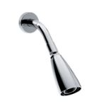 Imagen de 018316 REGADERA BR Y CHAP CHF IGUAZU CR (H-202) HELVEX