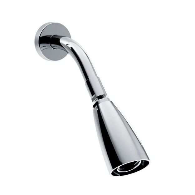 Imagen de 018316 REGADERA BR Y CHAP CHF IGUAZU CR (H-202) HELVEX