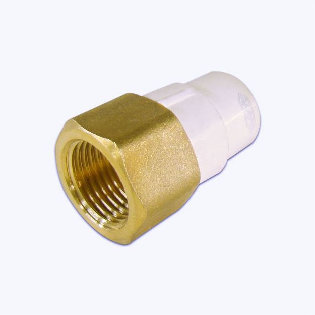 C:\Intelisis 6000V15\Anexos\Cuentas\EcommerceB2C\014729.jpeg