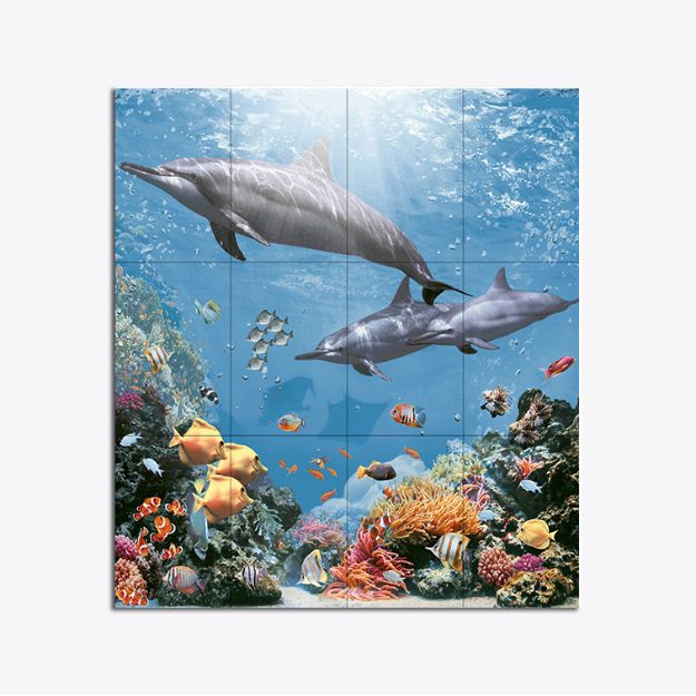 C:\Intelisis 6000V15\Anexos\Cuentas\EcommerceB2C\015862.jpeg