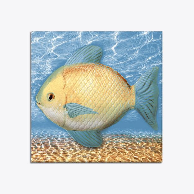 C:\Intelisis 6000V15\Anexos\Cuentas\EcommerceB2C\016012.jpeg