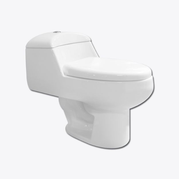 C:\Intelisis 6000V15\Anexos\Cuentas\EcommerceB2C\016229.jpeg