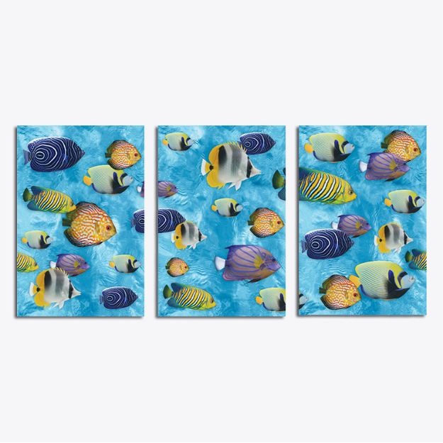 C:\Intelisis 6000V15\Anexos\Cuentas\EcommerceB2C\012801.jpeg