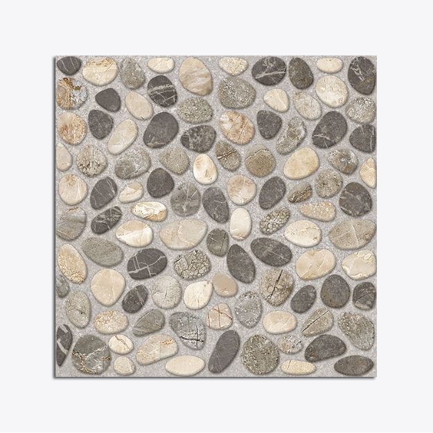 C:\Intelisis 6000V15\Anexos\Cuentas\EcommerceB2C\015919.jpeg