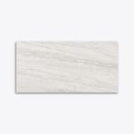 Imagen de 019477 NAICA SMOOTH FD GRIS 60X120 1A (1.44 MT2) PORCELANITE