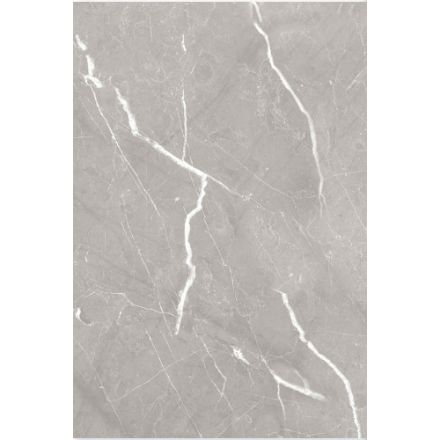 Imagen de 018799 CARSON FD GRIS 25X40 1A (1.50 MT2) PORCELANITE
